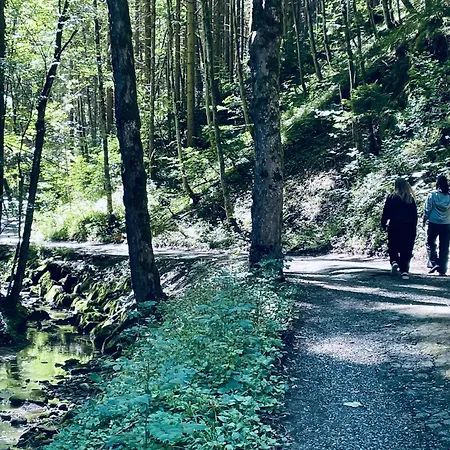 Daire Urlaub Im Alpenidyll Fuer 4 Mit Sonnenterrasse *