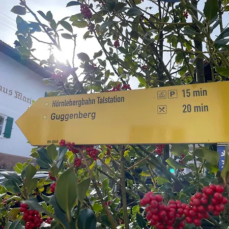 Alpine Gemuetlichkeit Fuer 4 Mit Grosser Sonnenterrasse 公寓